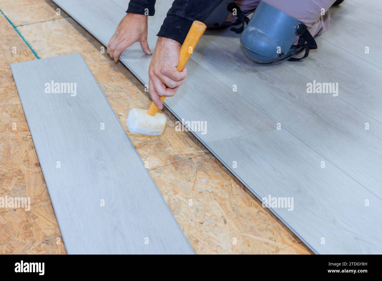 In newly constructed house worker is installing vinyl laminate flooring Stock Photo