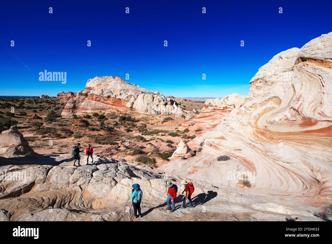 Hiker in White Pocket Canyon, Coyote Buttes North. Vermillion Cliffs, Grand Staircase Escalante National Monument, Utah, USA Stock Photo