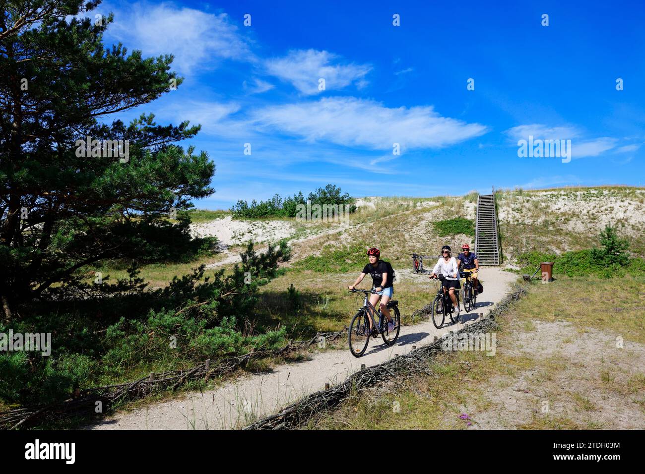 Cyclist on cycle path no. 10 of the Curonian Spit, Juodkrante, Lithuania Stock Photo