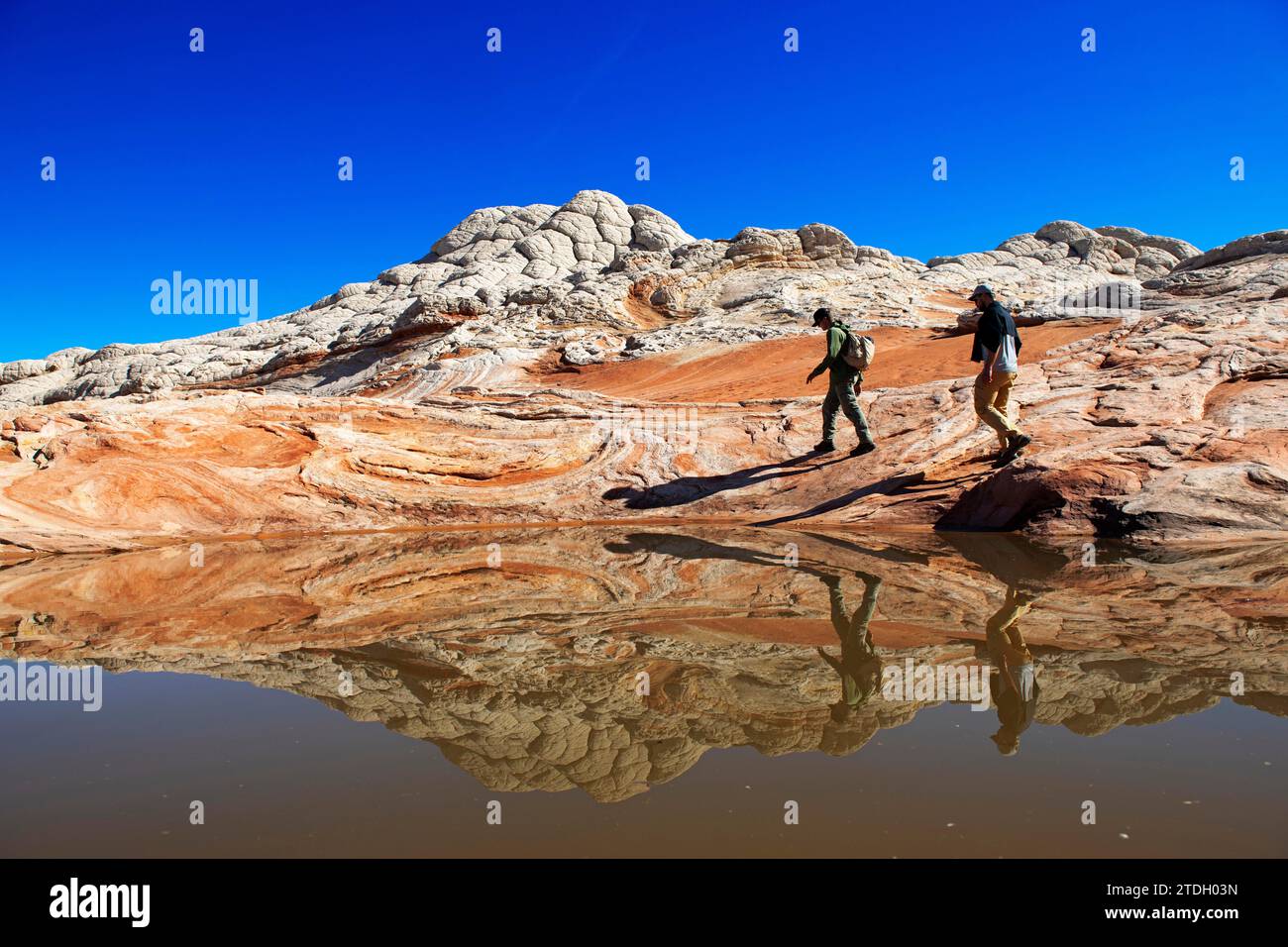 Hiker in White Pocket Canyon, Coyote Buttes North. Vermillion Cliffs, Grand Staircase Escalante National Monument, Utah, USA Stock Photo