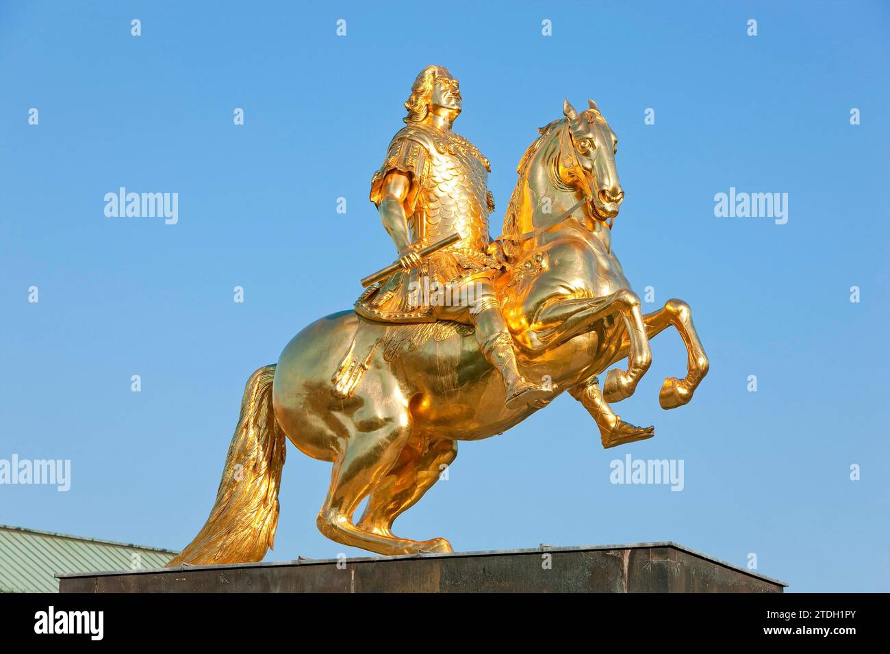 Golden rider statue of augustus ii the strong hi-res stock photography ...