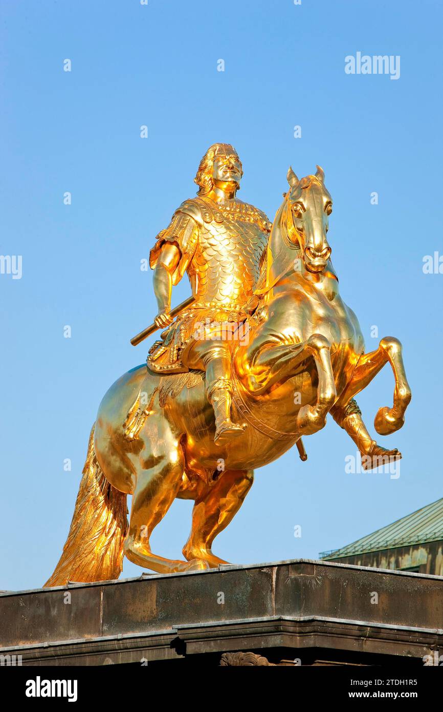 Golden rider statue of augustus ii the strong hi-res stock photography ...