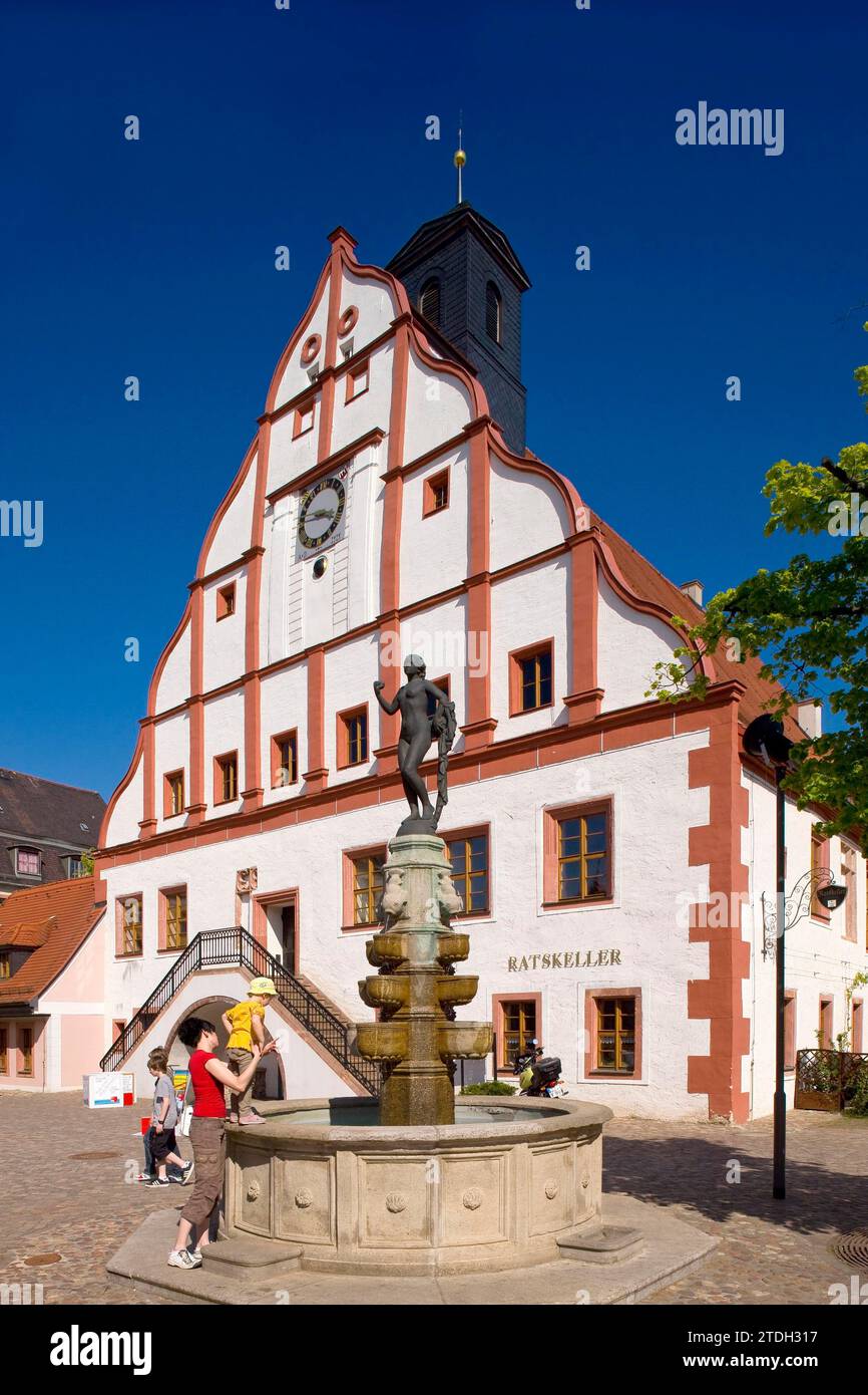 Grimma town hall. In the historic old town, the imposing Renaissance town hall stands out as the centre of the town Stock Photo