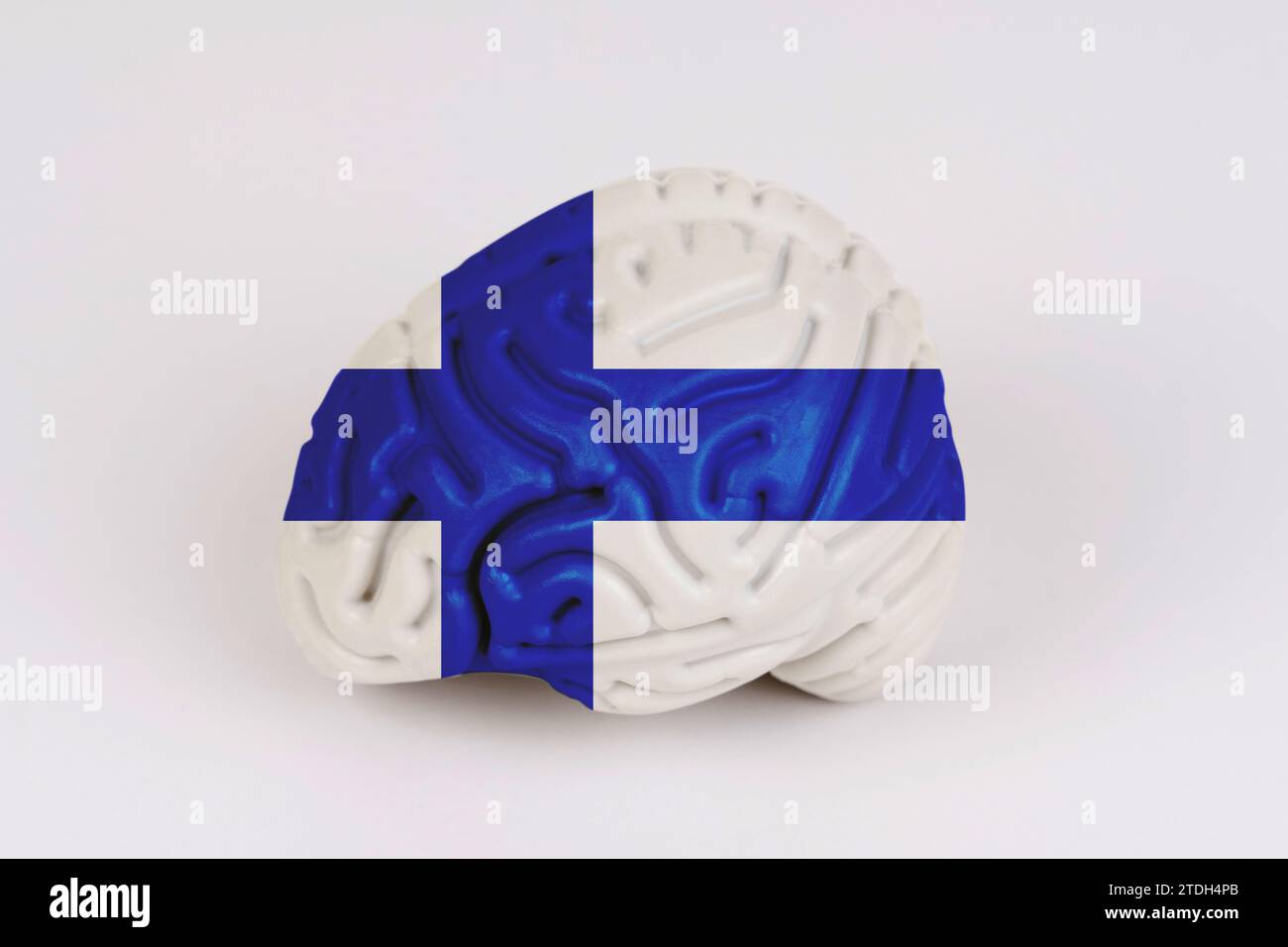 On a white background, a model of the brain with a picture of a flag - Finland. Close-up Stock Photo