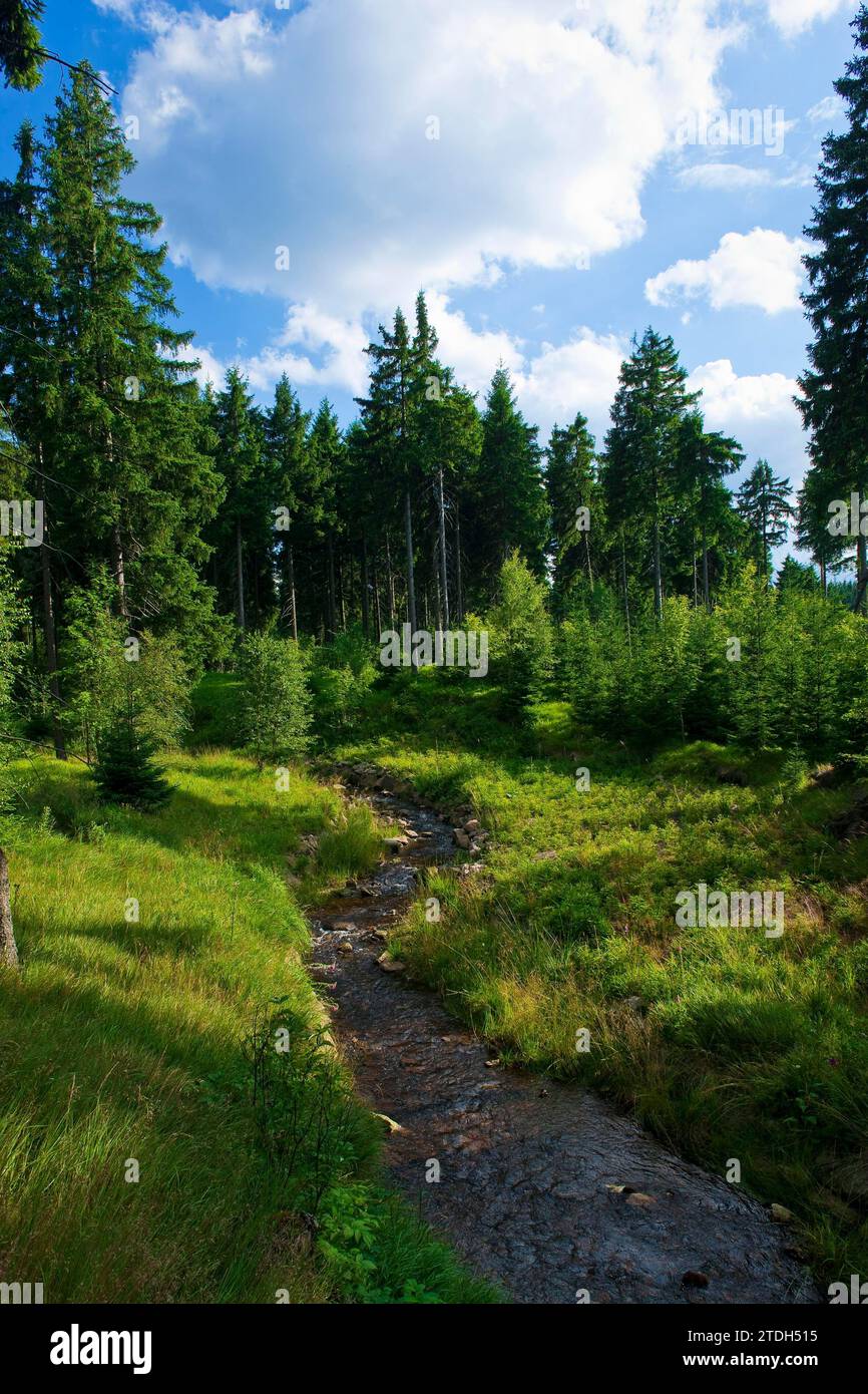 Rote weisseritz hires stock photography and images Alamy