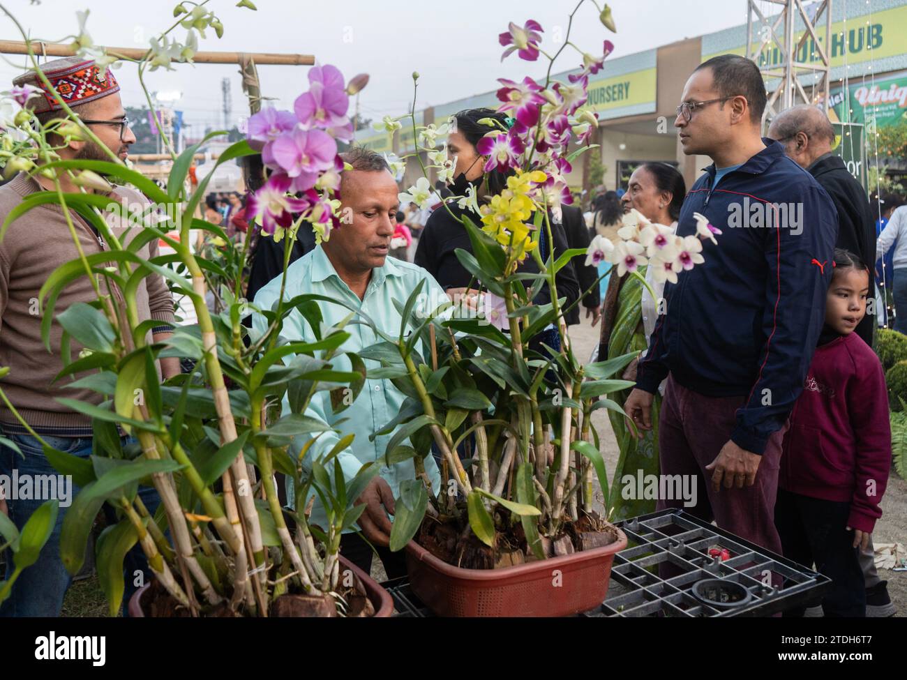 Plant diversity showcase hires stock photography and images Alamy