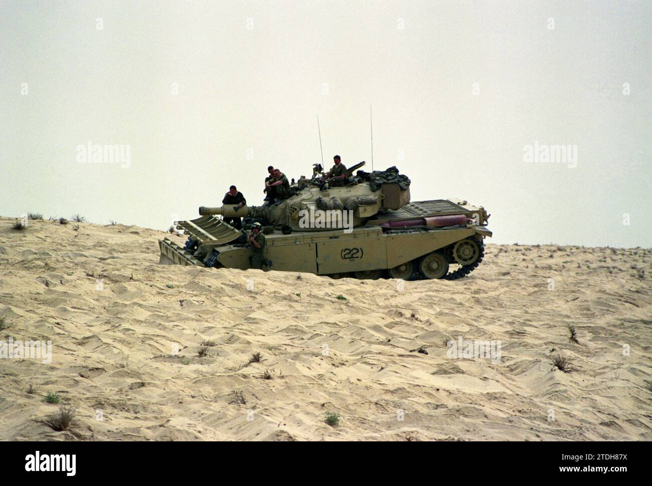 14th January 1991. In the desert in eastern Saudi Arabia, a British Centurion Mk5 AVRE takes part in a mine-clearance exercise. Stock Photo