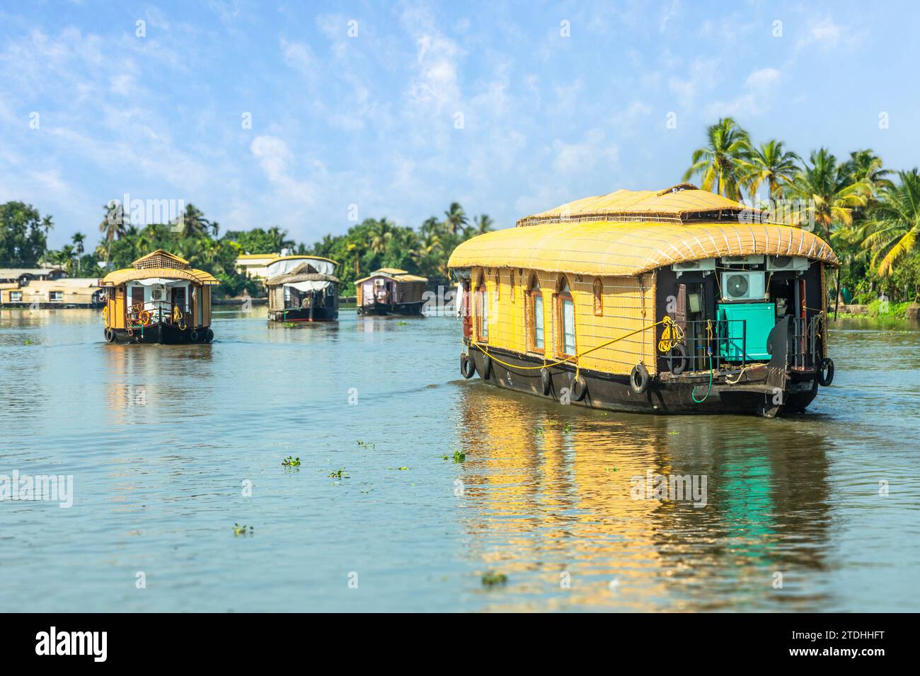 Indian traditional houseboats floating on Pamba river, with palms at the coastline, Alappuzha, Kerala, South India Stock Photo