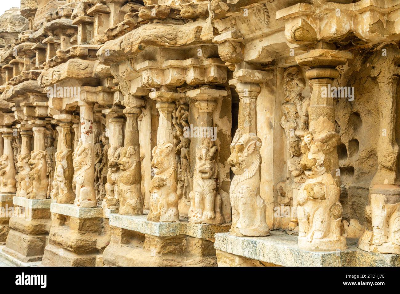 Kailasanathar temple ancient idol statues decoration, Kanchipuram, Tondaimandalam region, Tamil Nadu, South India Stock Photo
