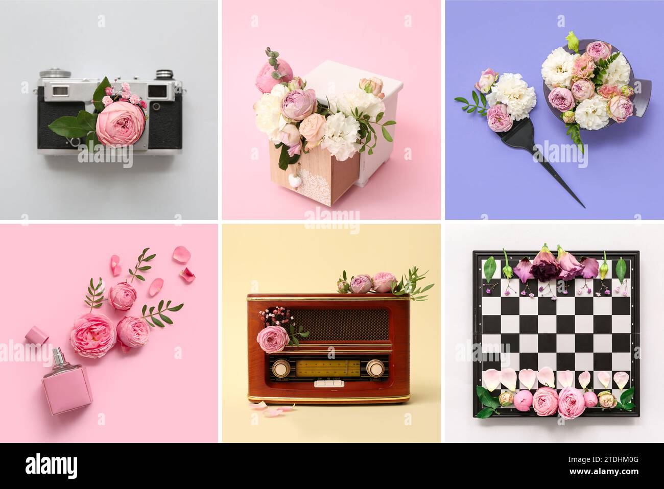 Collage of different items with beautiful flowers on color background Stock Photo