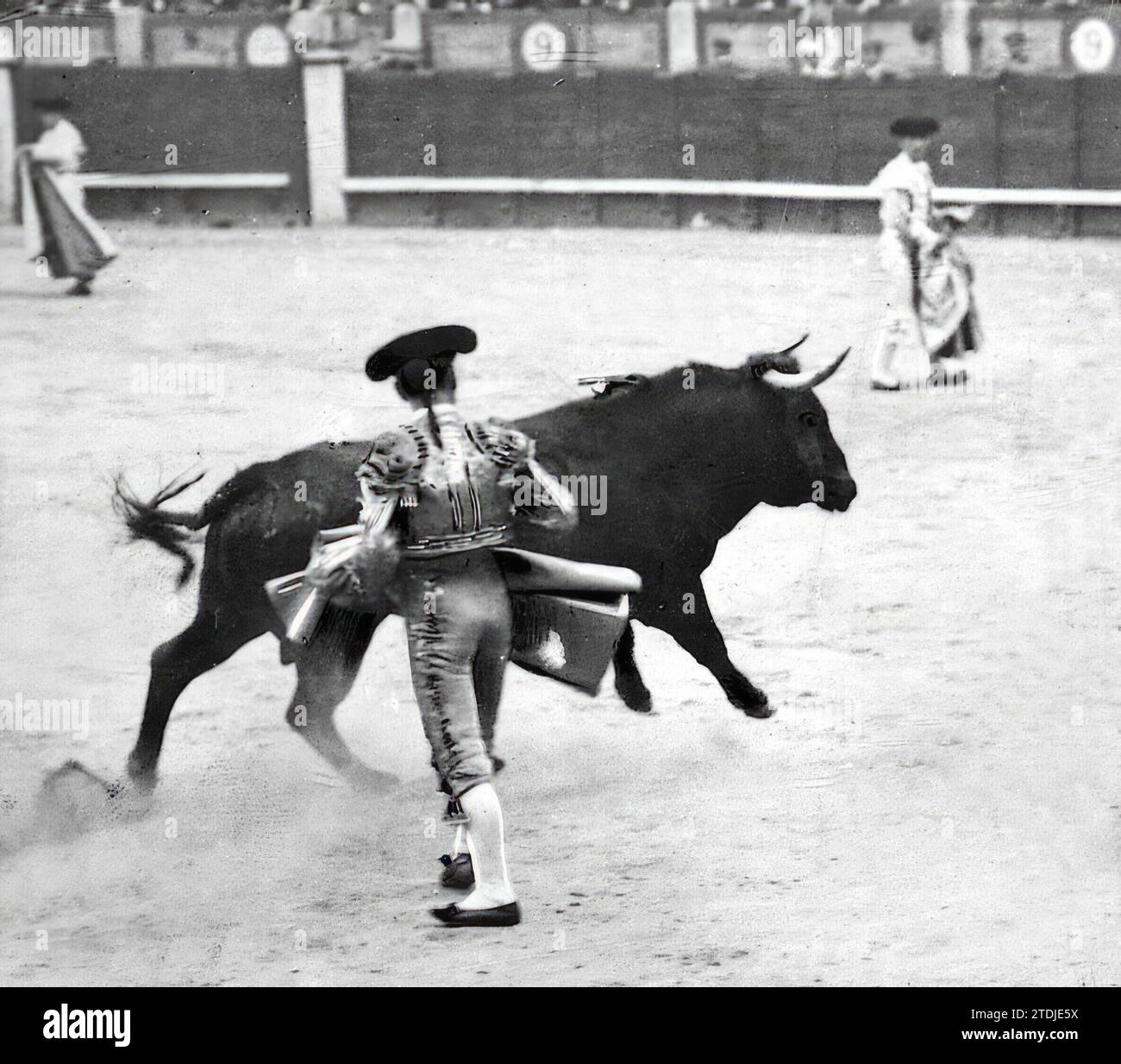 Luis mazzantini hires stock photography and images Alamy