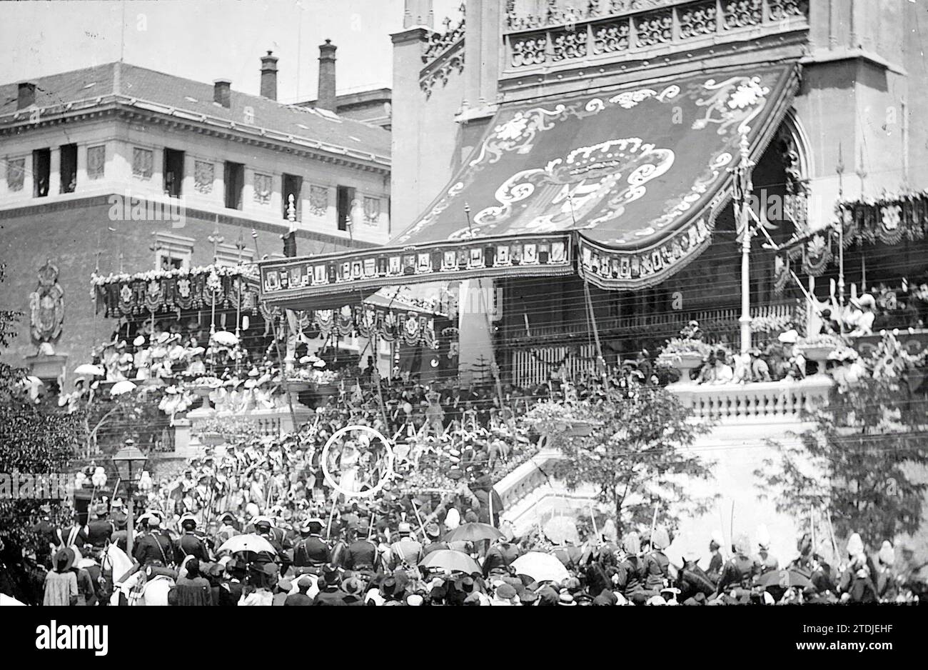 White\u0026Wild - Consulta disponibilidad y precios, image size:1300x938