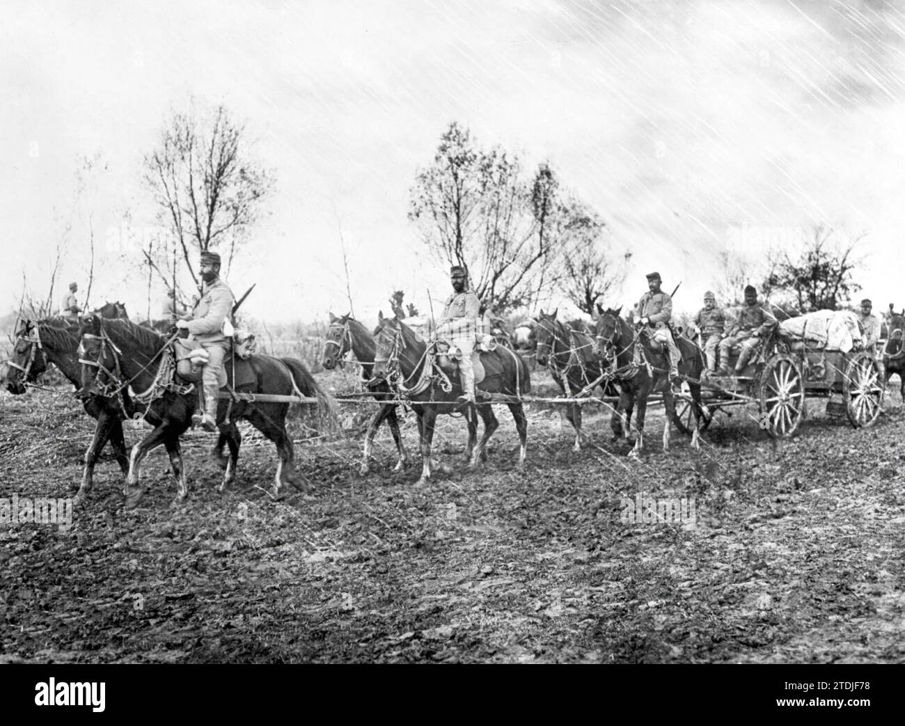 11/30/1915. The Austro-Germans in Serbia. Austrian advanced supply column through swampy terrain. Credit: Album / Archivo ABC / Hofer Stock Photo