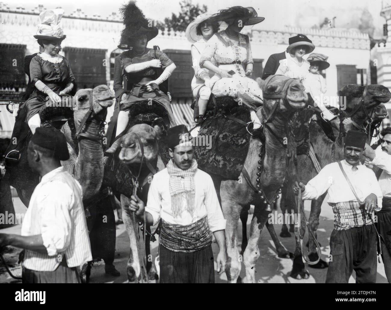 Camels festival paris hi-res stock photography and images - Alamy