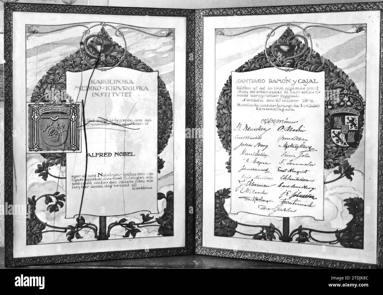 diploma del premio nobel marie curie