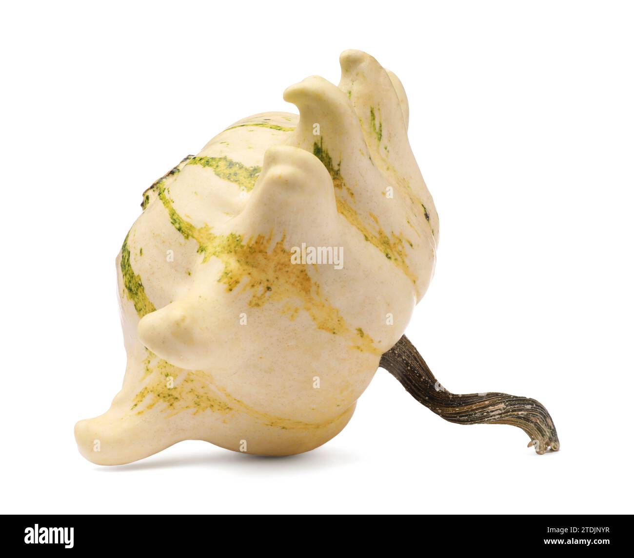One fresh ripe pumpkin isolated on white Stock Photo - Alamy
