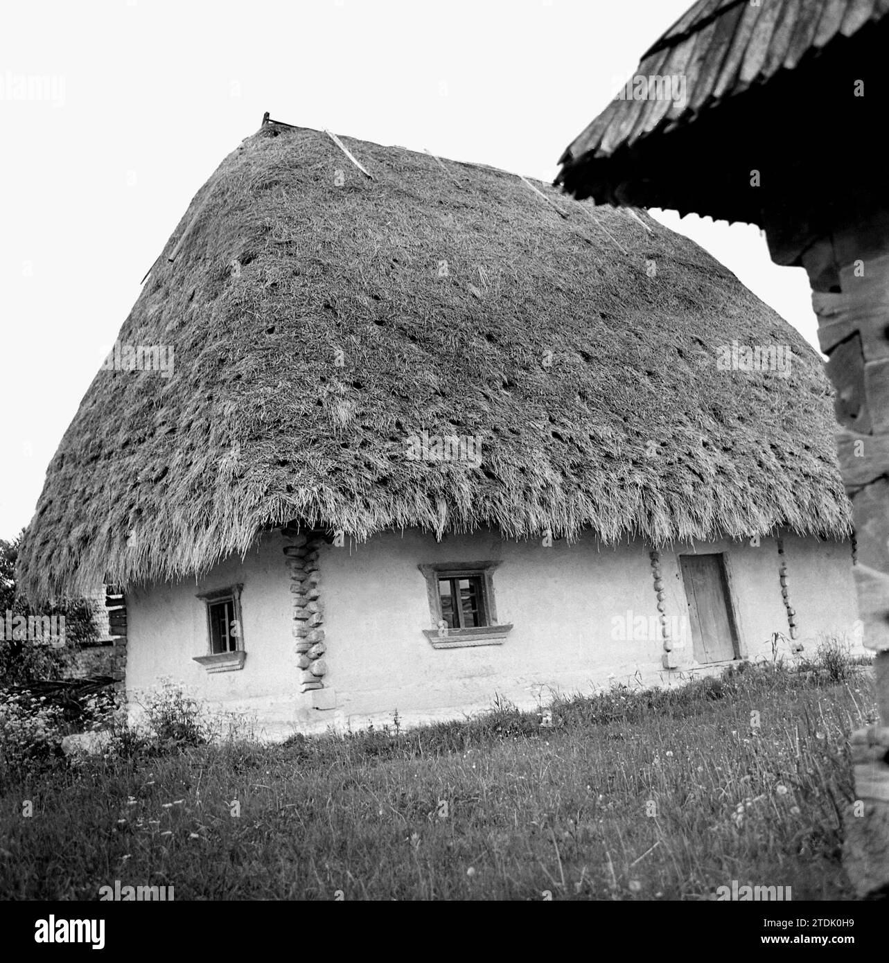 Authentic house with thatched roof displayed at an ethnographic museum