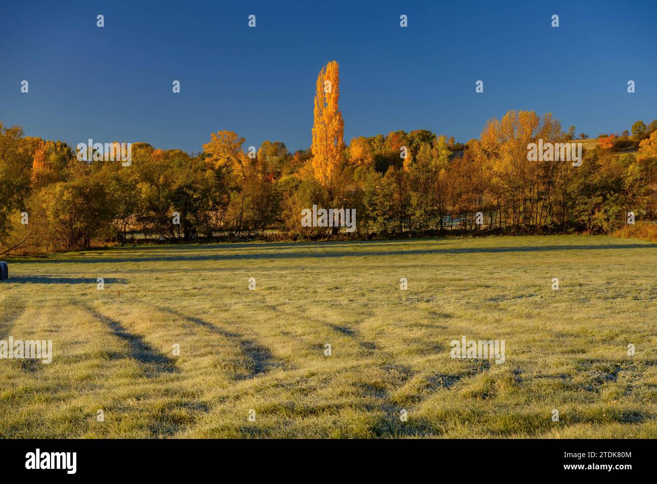Prados de colores hi-res stock photography and images - Alamy