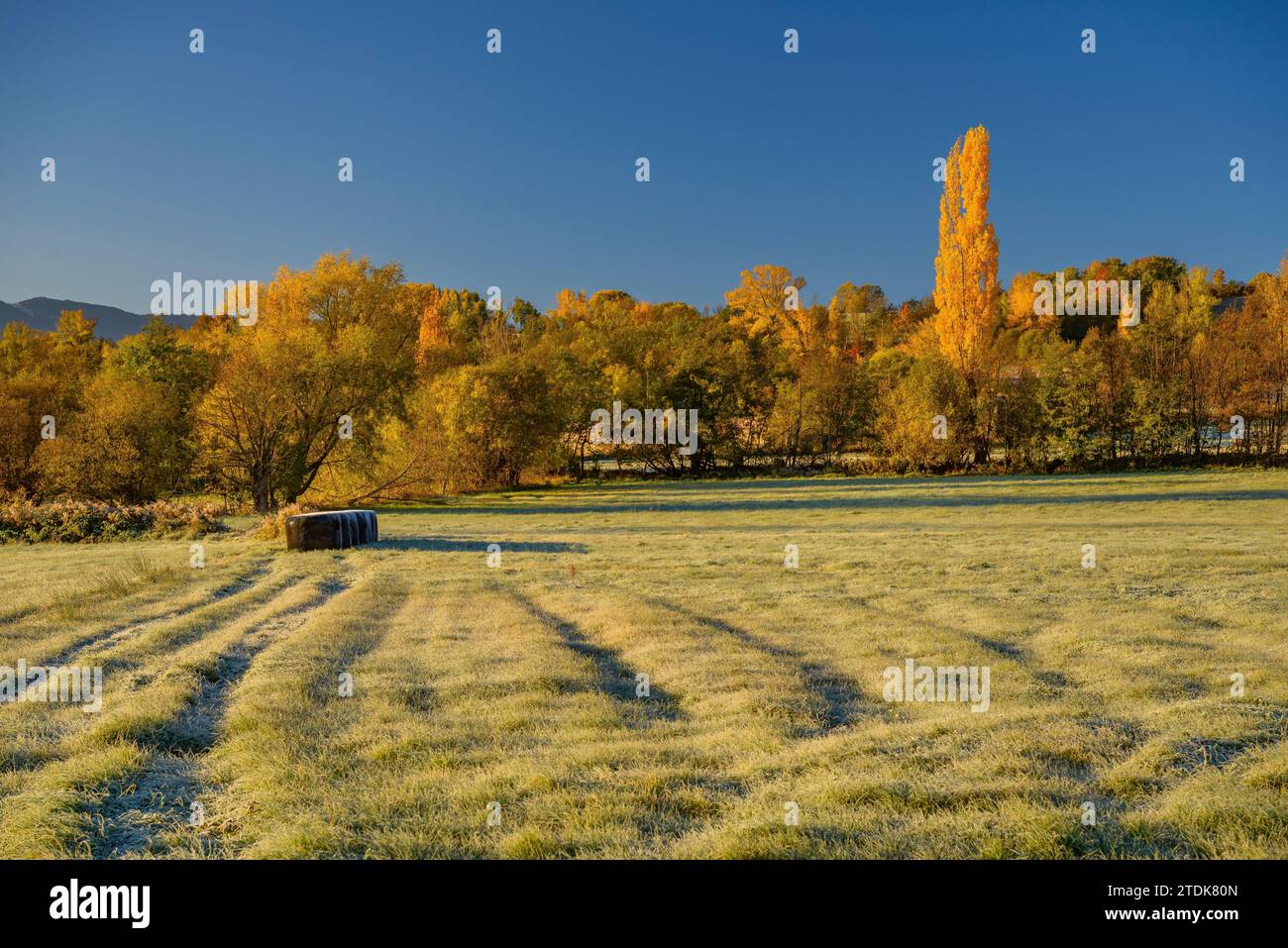 Prados de colores hi-res stock photography and images - Alamy