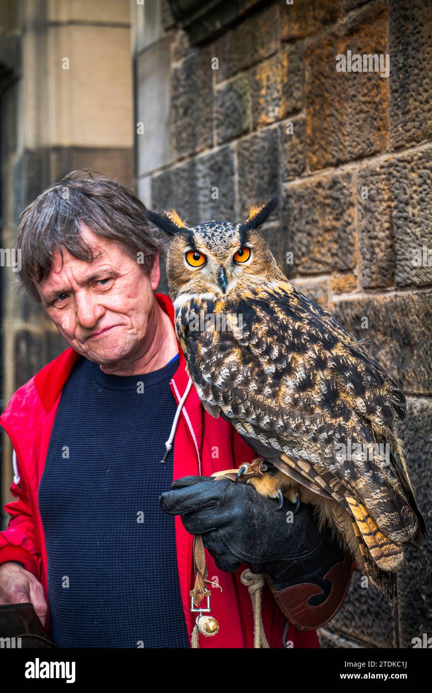 OWL ROYAL MILE OLD TOWN EDINBURGH SCOTLAND UNITED KINGDOM Stock Photo