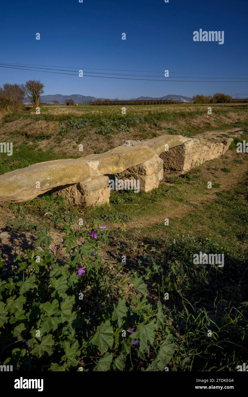 Old medieval stone bridge near Vilamacolum on an autumn afternoon (Alt Empordà, Girona, Catalonia, Spain) ESP: Antiguo puente de piedra medieval Stock Photo