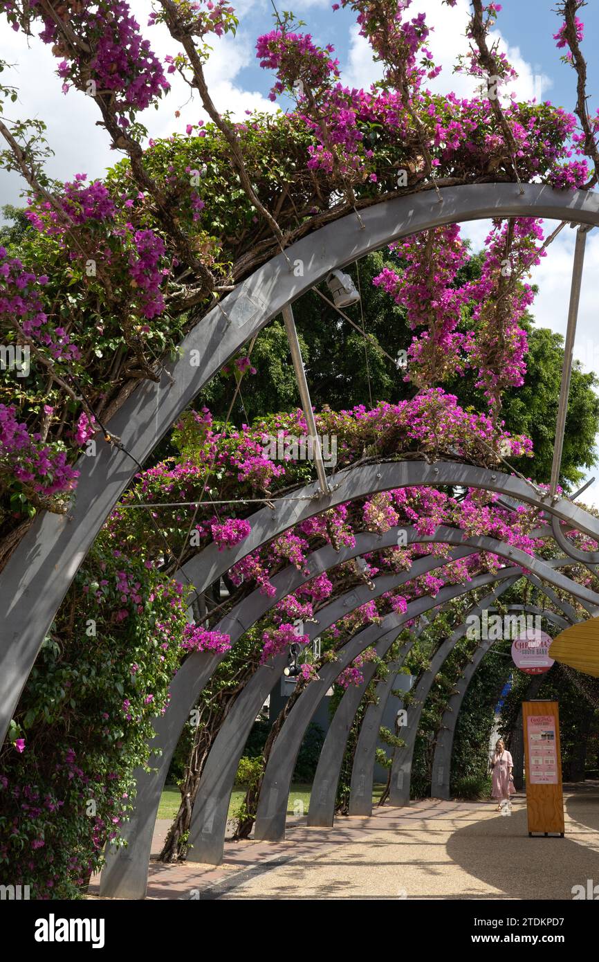 Grand Arbour in South Bank Parklands, Brisbane, Queensland, Australia ...