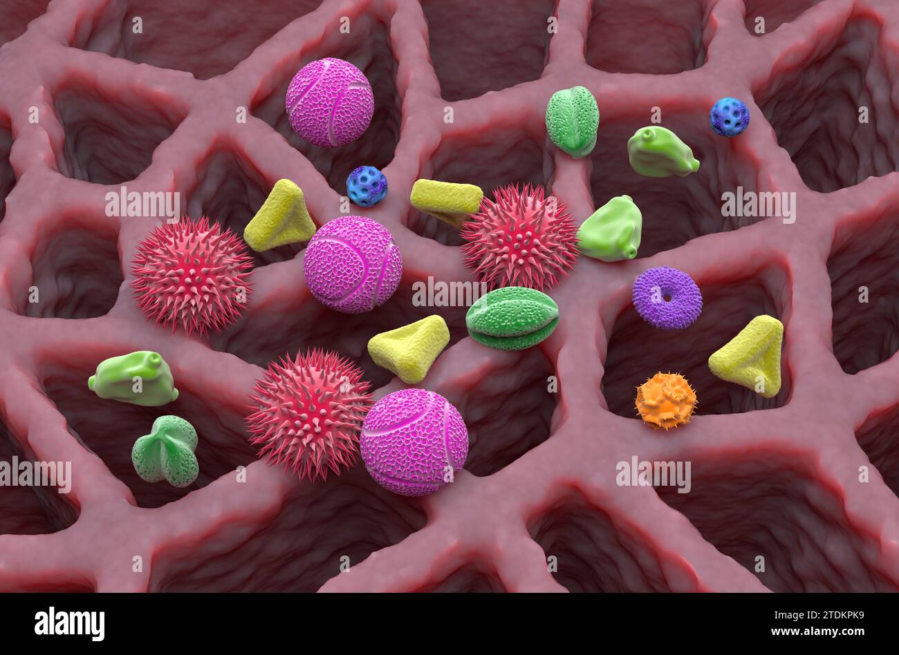 Multiple types of pollen grains in the lung tissue isometric view 3d