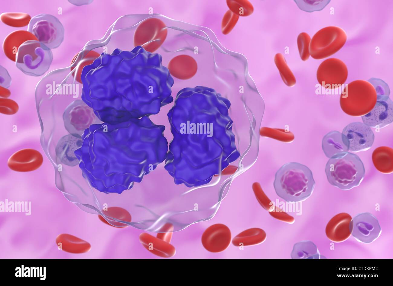 Follicular lymphoma (FL) cells in blood flow - closeup view 3d illustration Stock Photo