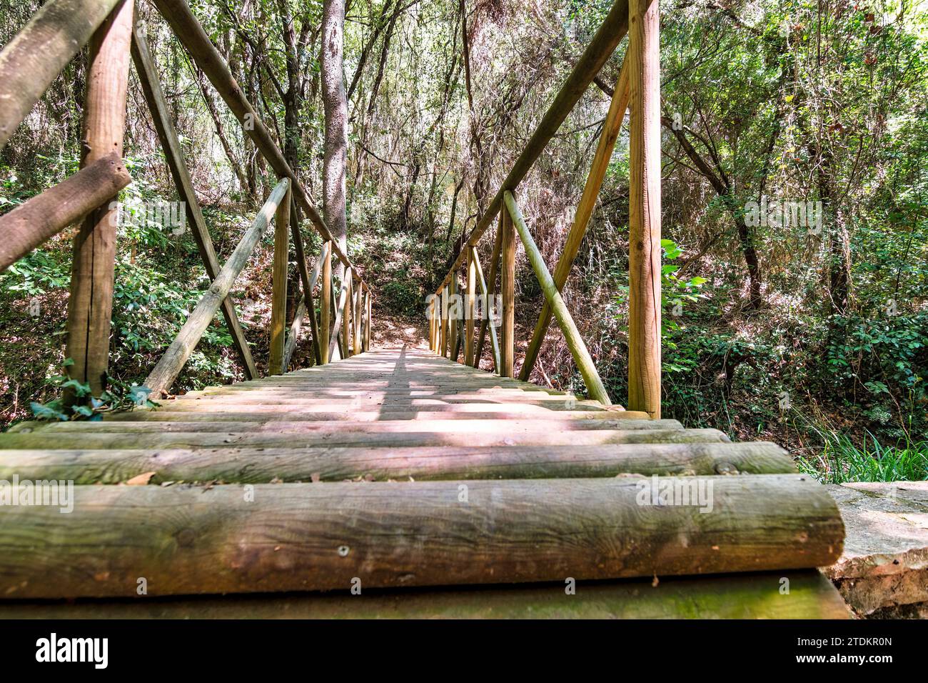 Old wooden bridge over creek in forest. Greece. Stock Photo
