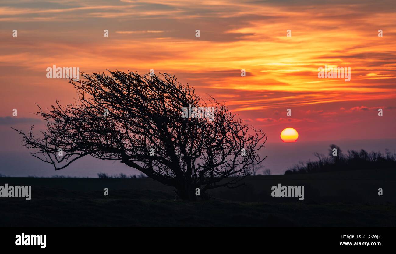 Winter sunrise over the east Sussex countryside from Combe Hilll Butts Brow Eastbourne east Sussex south east England Stock Photo