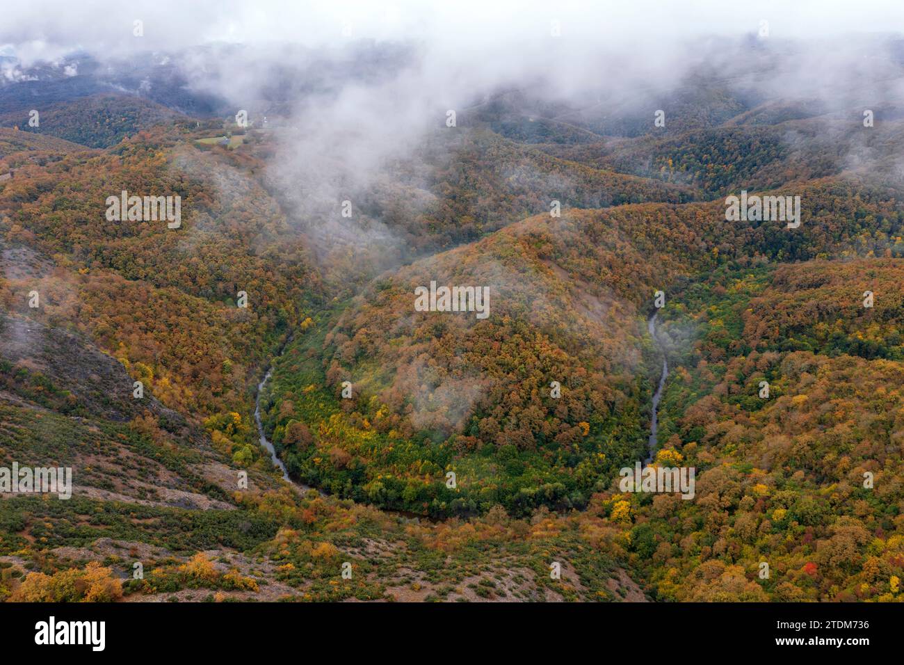 Fog over a big curve of river in autumn forest Stock Photo - Alamy