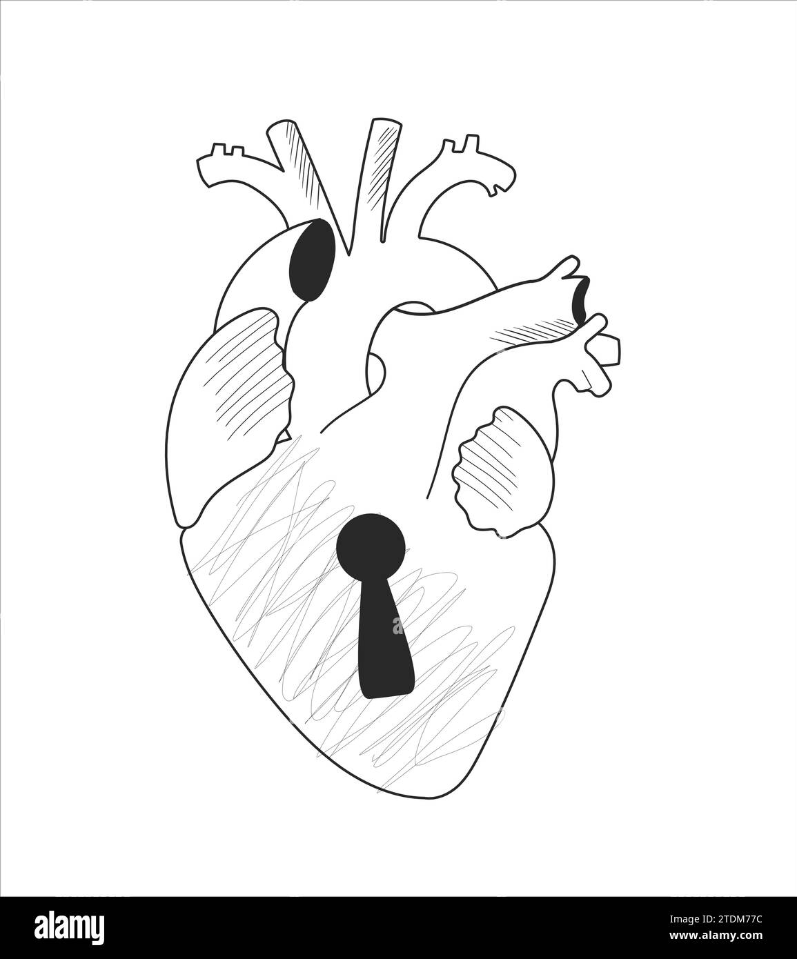 How to Draw a Human Heart - DrawingNow-saigonsouth.com.vn