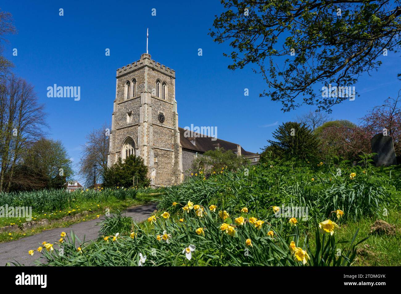 St Ethelreda's church, Old Hatfield, Hertfordshire, UK; earliest parts of the building date from 13th century Stock Photo