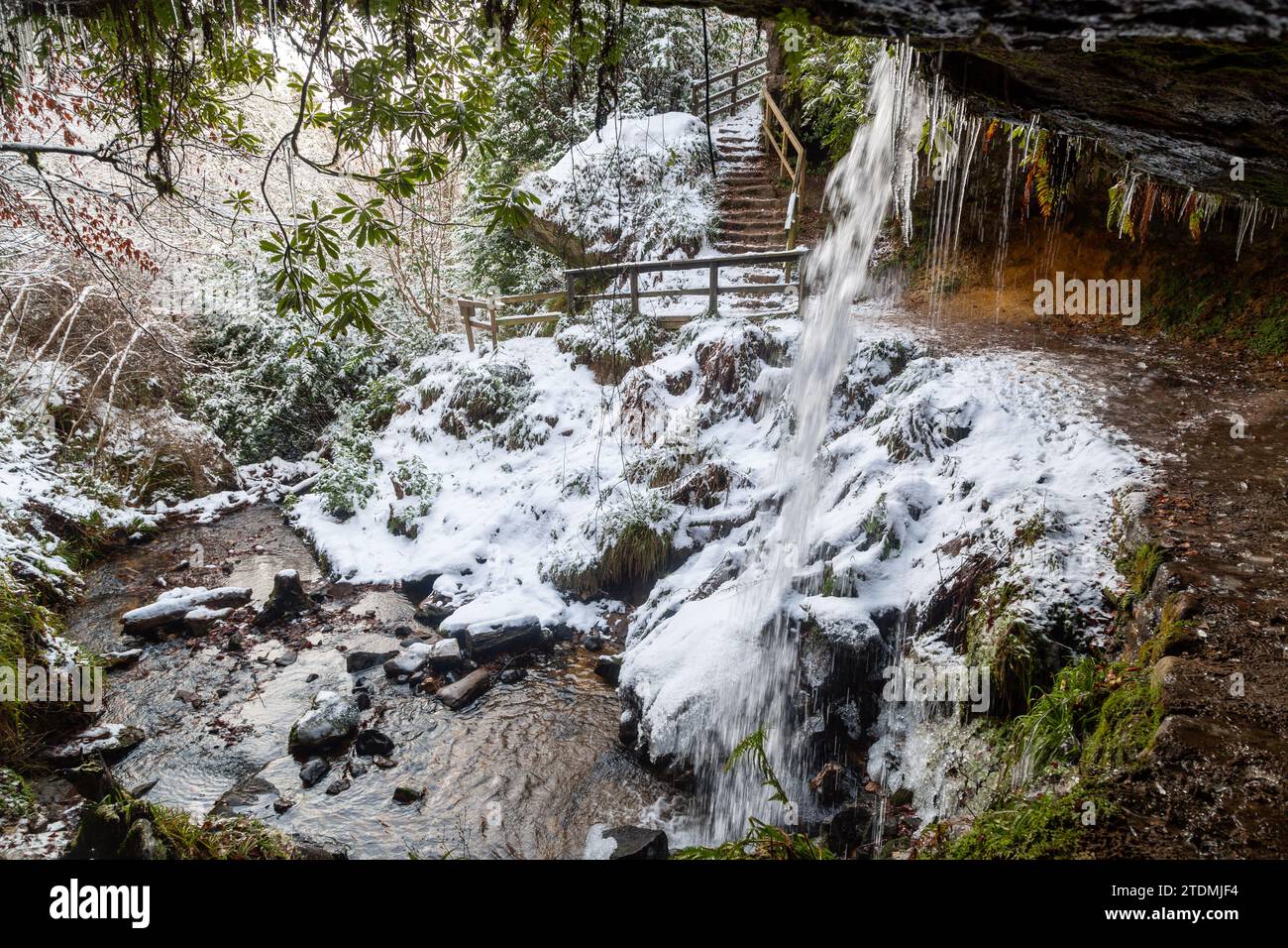 Maspie Den waterfall in Falkland Estate Fife Scotland. Stock Photo