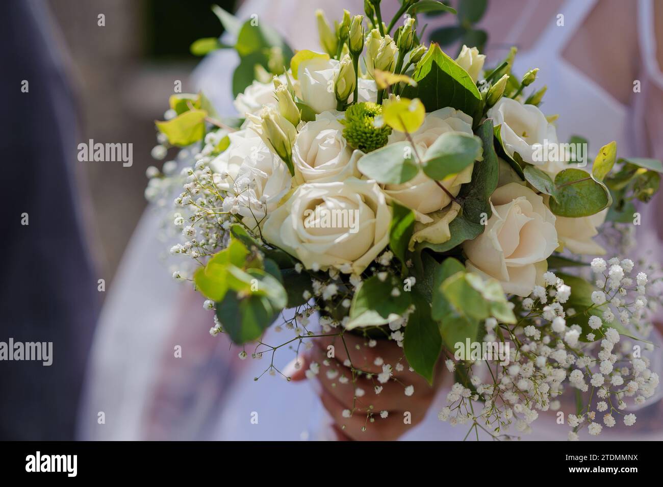 A beautiful wedding bouquet in the hands of the bride. Bouquet with white roses in the hands of the bride Stock Photo