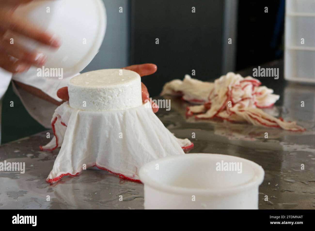 Production of artisanal cheese, rennet and packaging in molds to shape ...