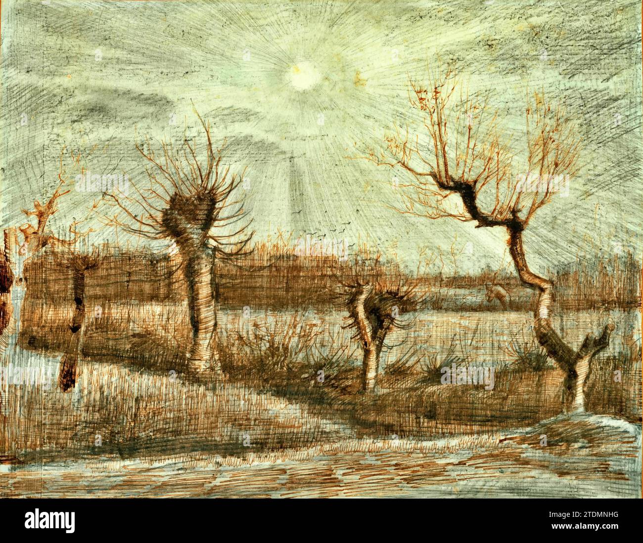 Tetards (Pollards), 1884 (Painting) by Artist Gogh, Vincent van (1853-90) / Dutch. Stock Vector