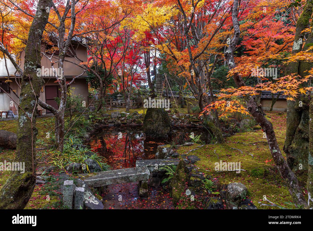 Japanese garden in autumn in the city of Kyoto Stock Photo