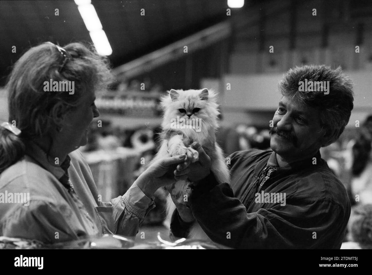 Cat show, Beverwijk sports hall, Beverwijk, The Netherlands, 19-04-1992, Whizgle News from the Past, Tailored for the Future. Explore historical narratives, Dutch The Netherlands agency image with a modern perspective, bridging the gap between yesterday's events and tomorrow's insights. A timeless journey shaping the stories that shape our future Stock Photo