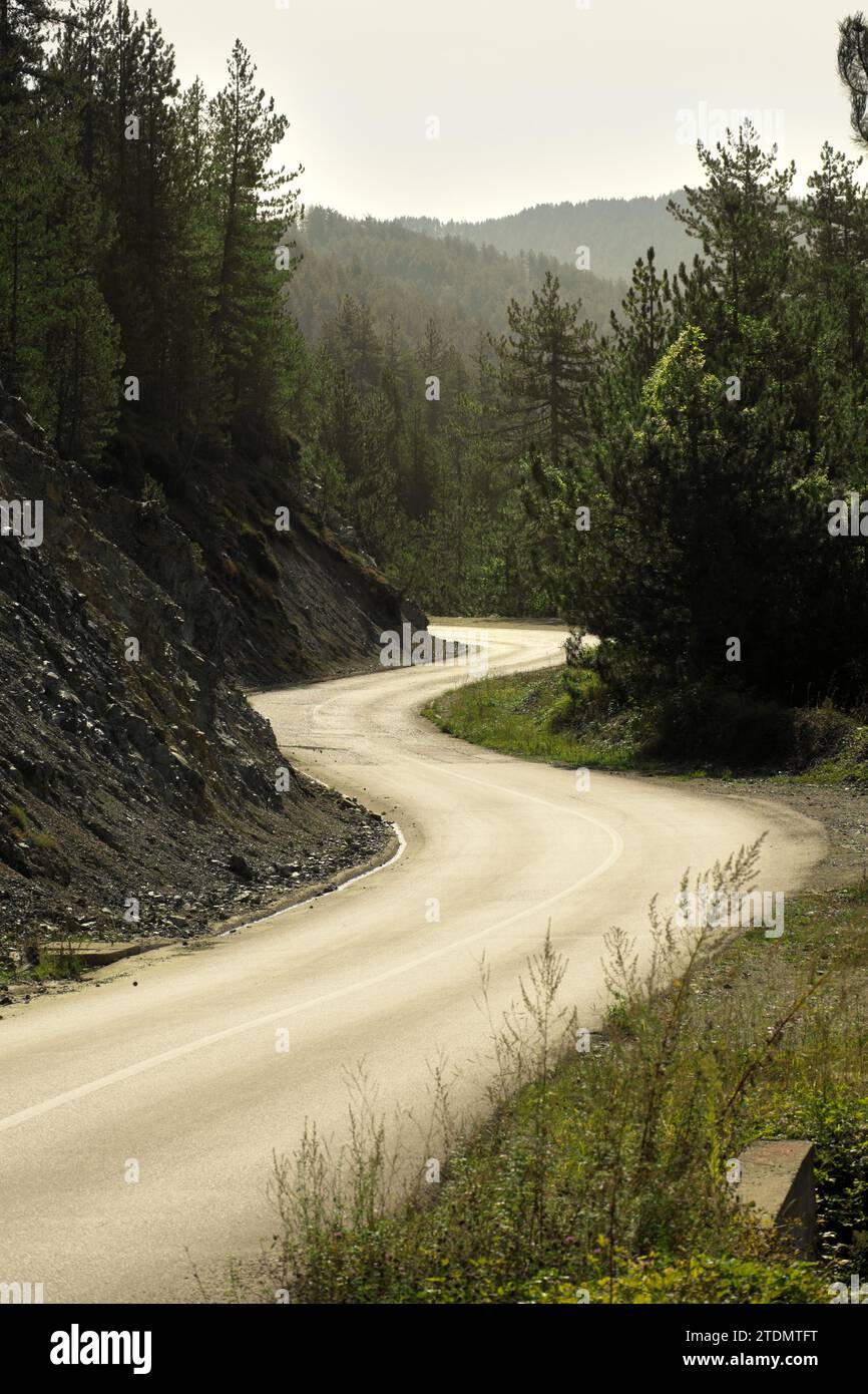 mountain winding road in Tara National Park, Mitrovac na Tari, Serbia ...