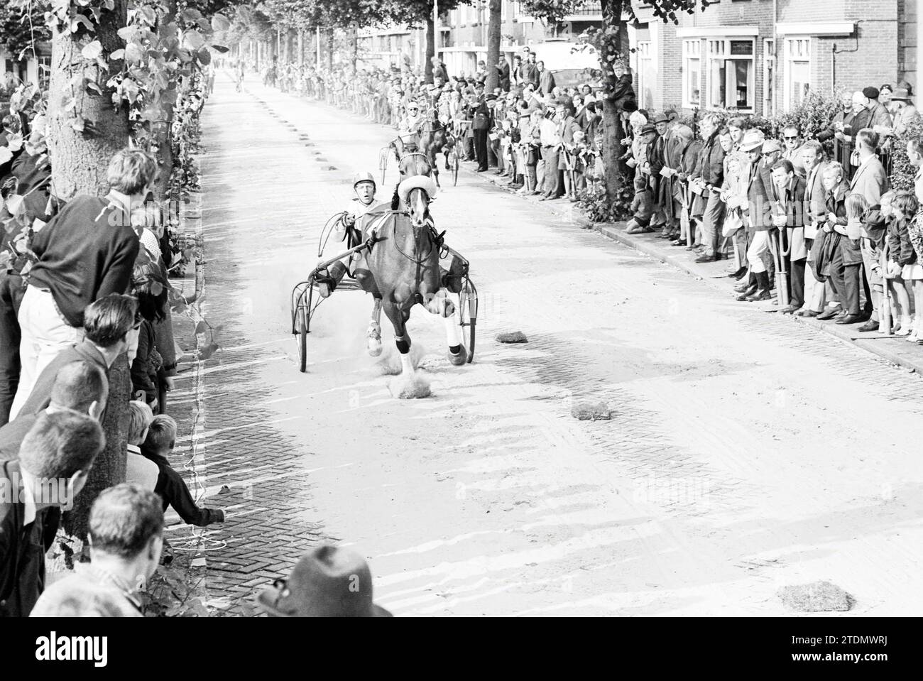 Harness racing, Whizgle News from the Past, Tailored for the Future. Explore historical narratives, Dutch The Netherlands agency image with a modern perspective, bridging the gap between yesterday's events and tomorrow's insights. A timeless journey shaping the stories that shape our future Stock Photo