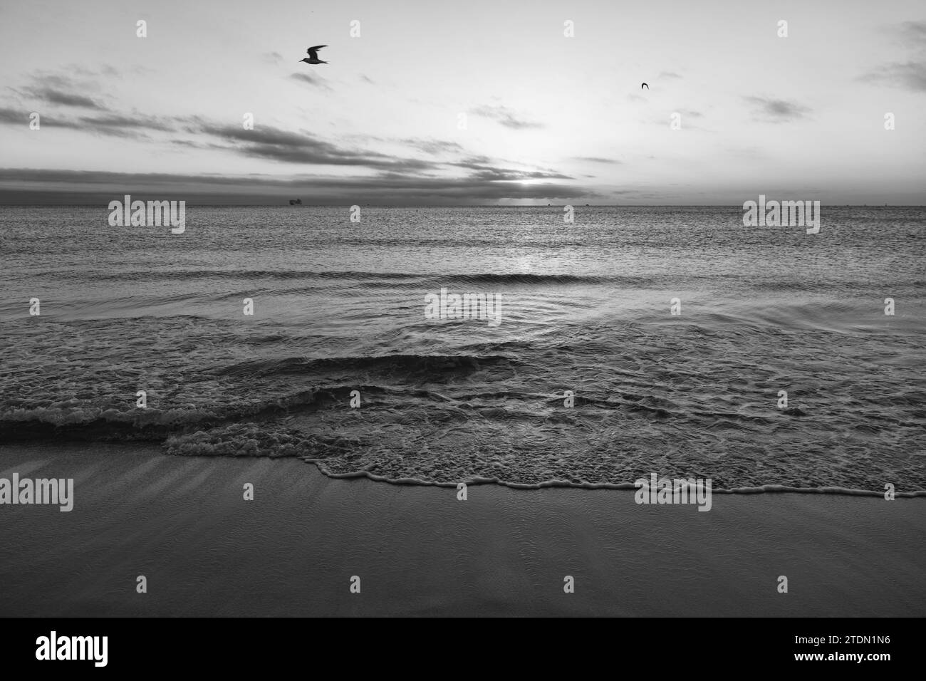 Bahamas ocean view Black and White Stock Photos & Images - Alamy