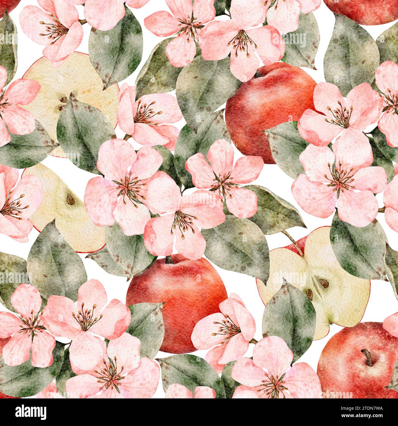 Seamless pattern with blooming apple tree branches and fruit. Floral ...