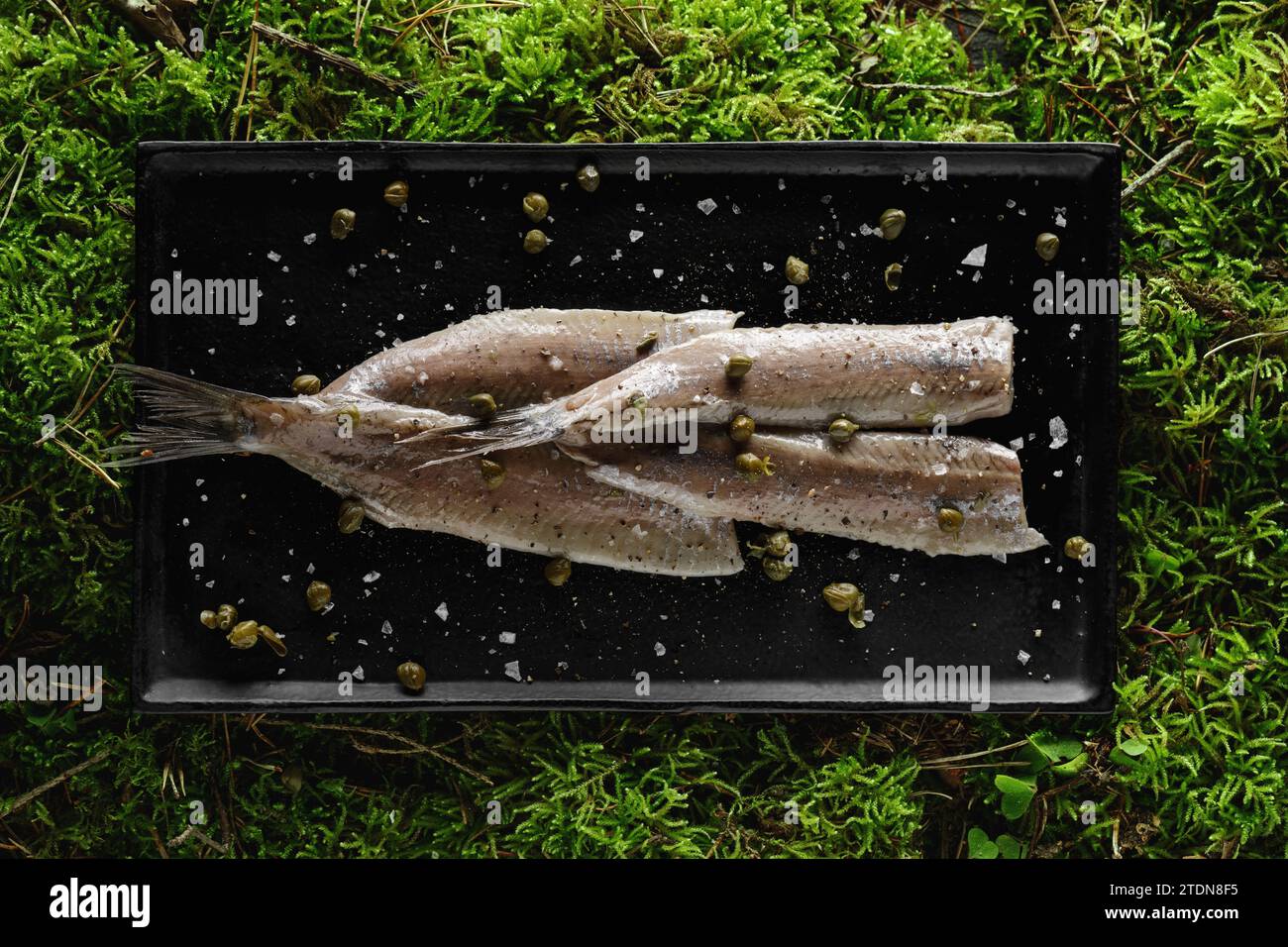 Herring fillet with capers, salt flakes and pepper served on black tray on green forest moss
