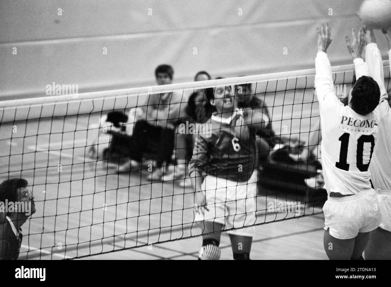 Volleyball, VCH UZ men, 14011994, Whizgle News from the Past