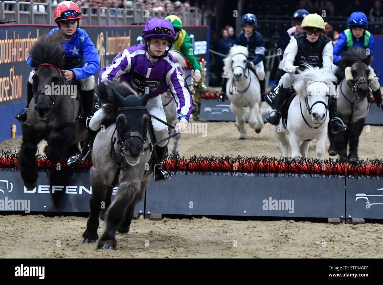 Shetland Pony Jumping Hi res Stock Photography And Images Alamy shetland-pony-jumping-hi-res-stock-photography-and-images-alamy