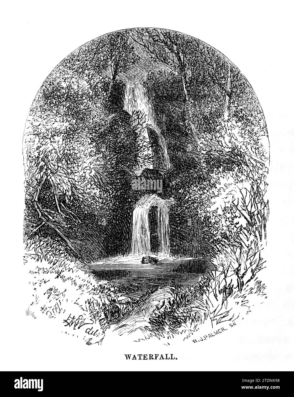 Waterfall from the book The Severn valley: a series of sketches, descriptive and pictorial, of the course of the Severn: containing notices of its topographical, industrial, and geological features; with glances at its historical and legendary associations by Randall, John, 1810-1910 Publication date 1862 Publisher J. S. Virtue Stock Photo