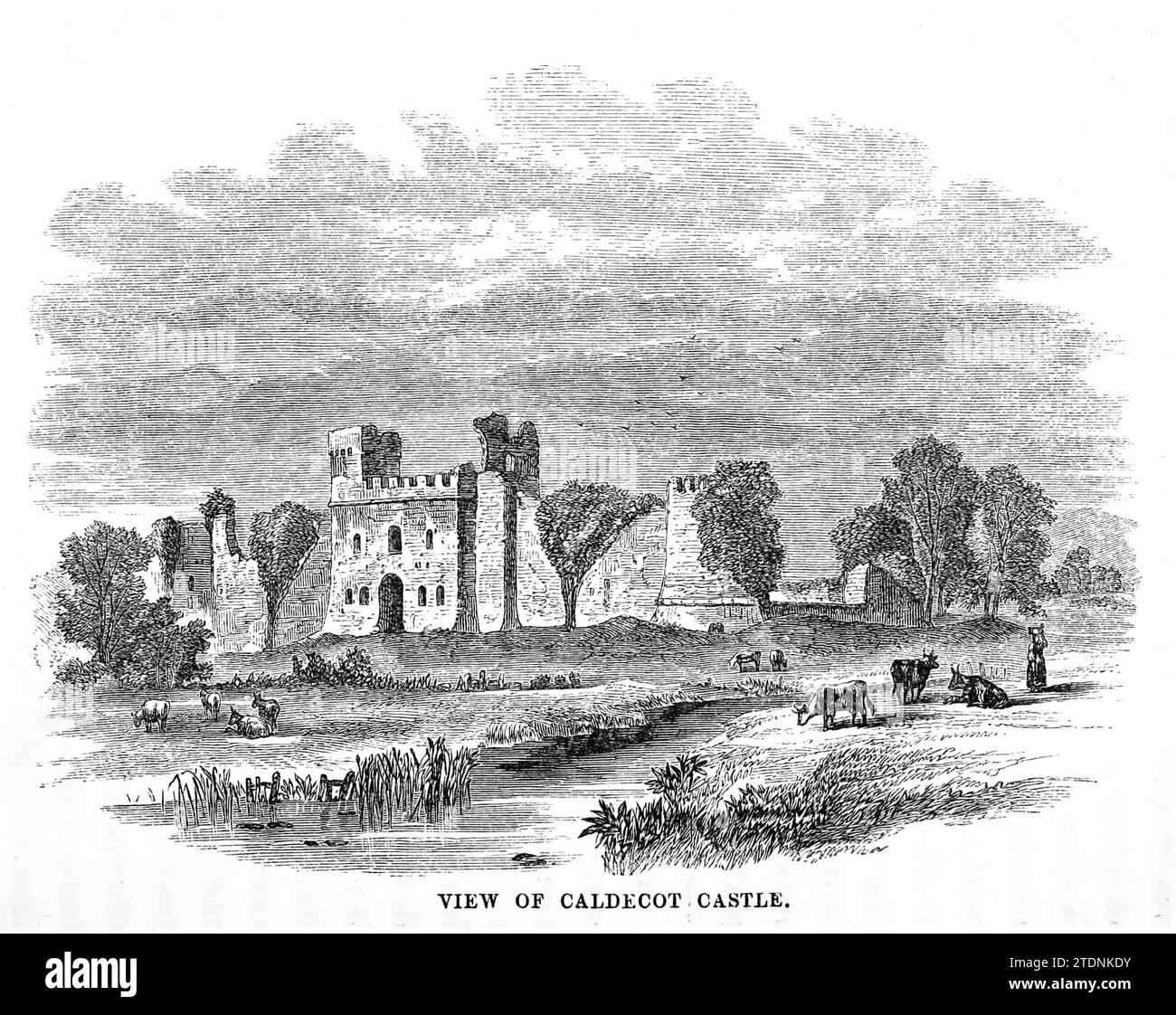 View of Caldecot Castle, Caldicot Castle (Welsh: Castell Cil-y-coed) is an extensive stone medieval castle in the town of Caldicot, Monmouthshire, in southeast Wales, from the book The Severn valley: a series of sketches, descriptive and pictorial, of the course of the Severn: containing notices of its topographical, industrial, and geological features; with glances at its historical and legendary associations by Randall, John, 1810-1910 Publication date 1862 Publisher J. S. Virtue Stock Photo