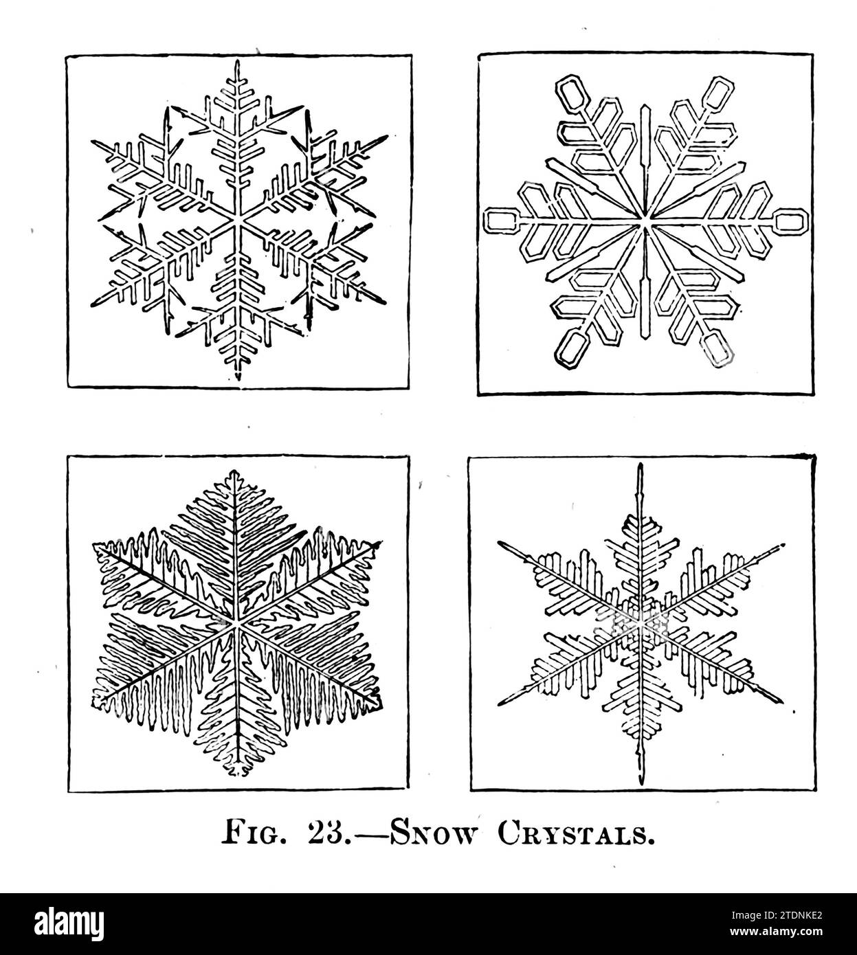 Snow Crystals History Cut Out Stock Images Pictures Alamy snow-crystals-history-cut-out-stock-images-pictures-alamy