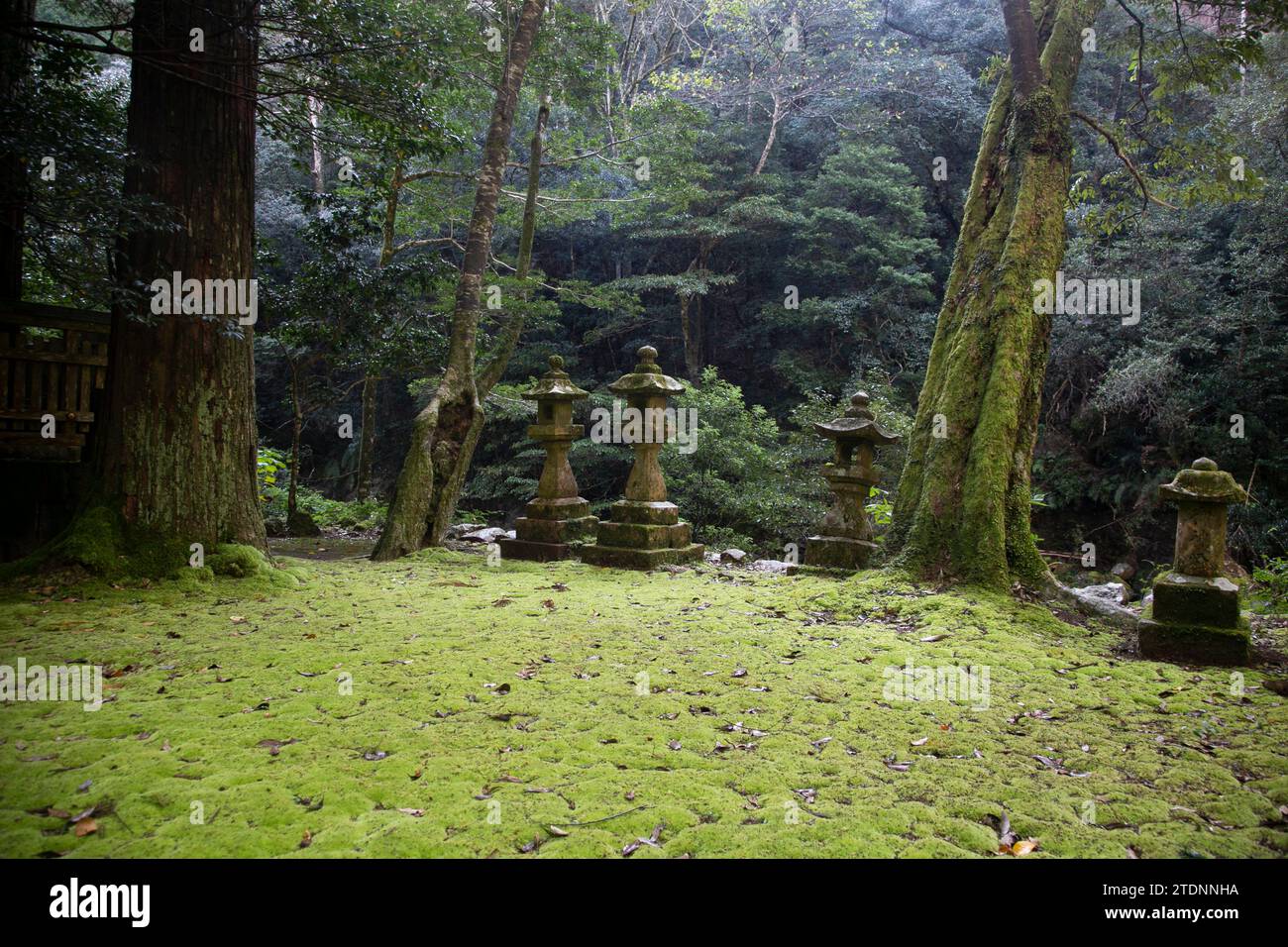 Carved stone monoliths at a Japanese shrine in Wakayama Prefecture in Japan. Stock Photo